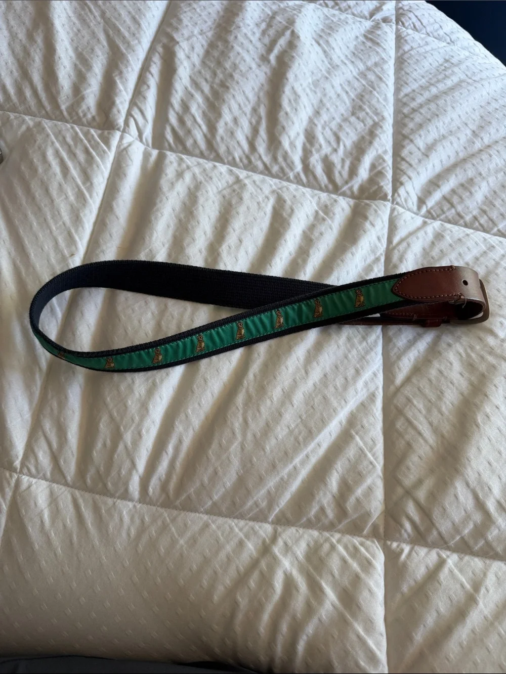 Men’s J Crew Labrador Retriever Belt size 32